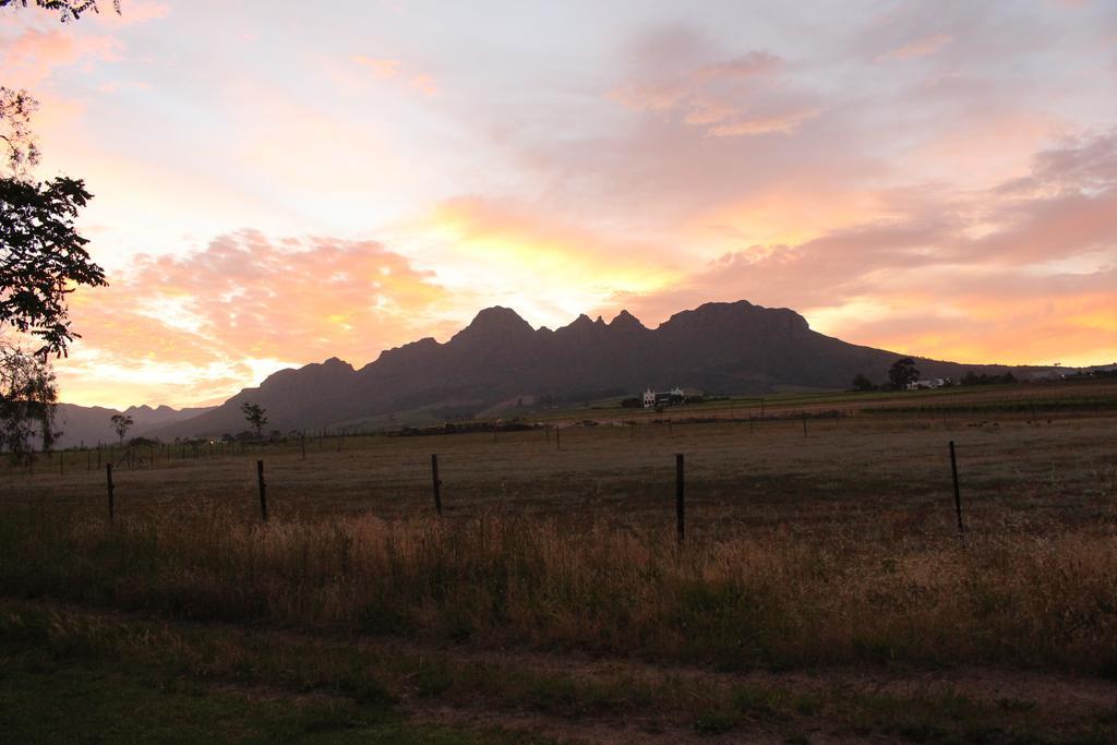 Rosenview Guest House Stellenbosch Luaran gambar